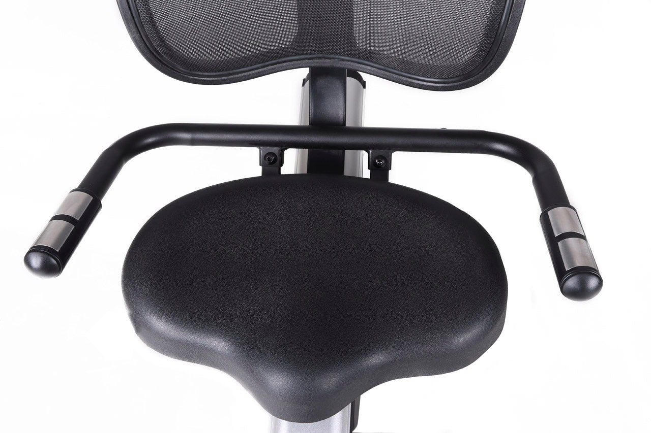 BRX RECUMBENT 300 ERGO